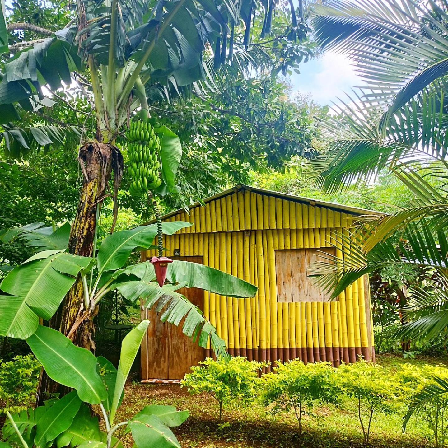 Cabanas Ixaya Catemaco Luaran gambar